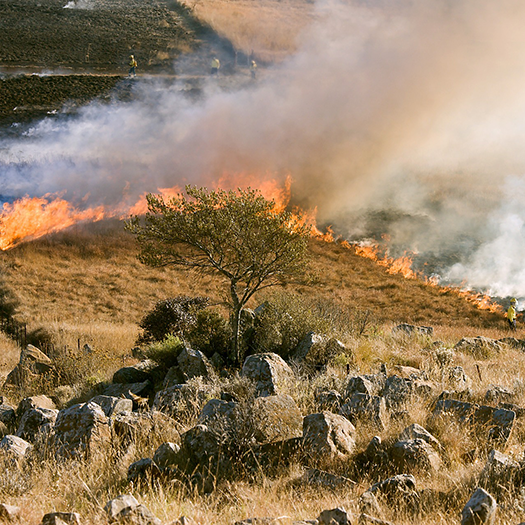 Four Fire Prevention Tips For Your Home