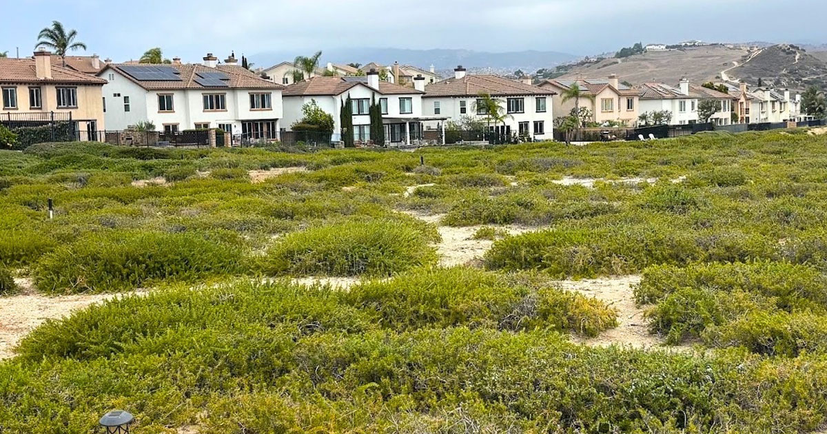 Serrano Heights Community Association Case Study