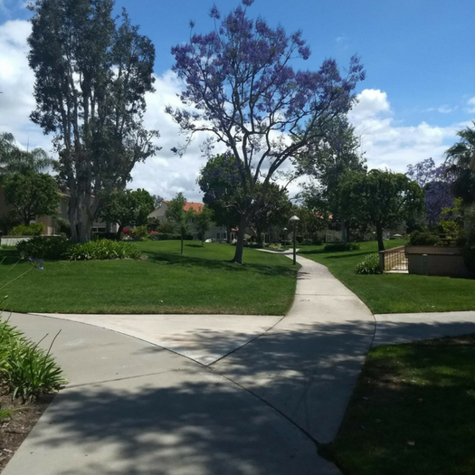 COMMUNITY SPOTLIGHT: North Bluff Park Community Association