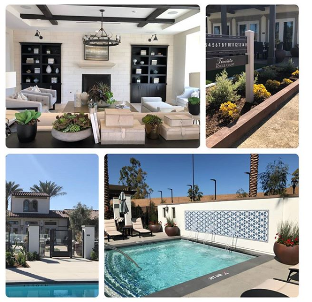 Spring Cleaning in Your Community