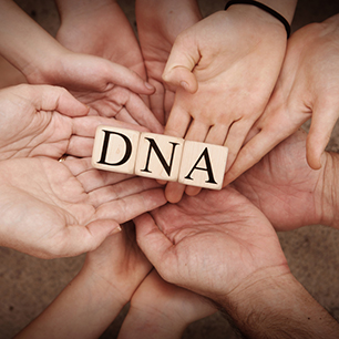 Creating Your Community DNA